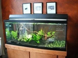 oct22011 cabinet.webp