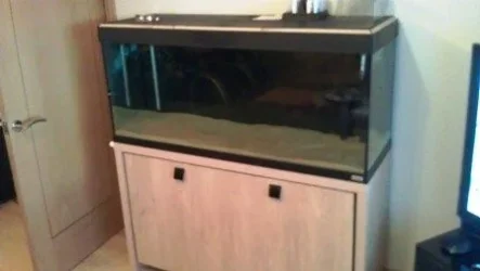 Tank.webp