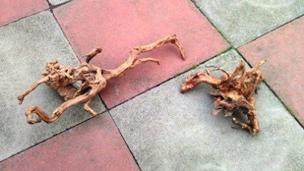 Wood.jpg Wood.jpg