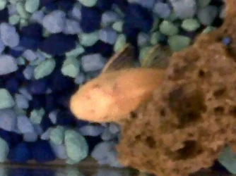 IMG00014-20111015-1339.webp