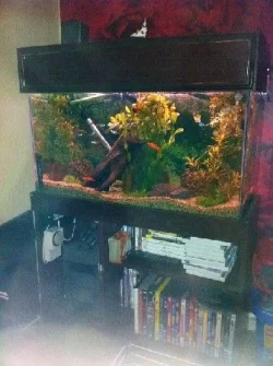 tank.webp