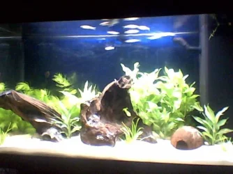 Image7.webp