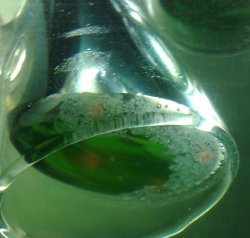 251020111509 - COPY_crop_crop.jpg