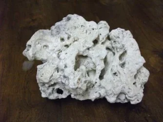 rock.webp
