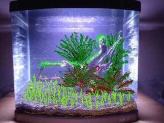 PhotowPlants.webp