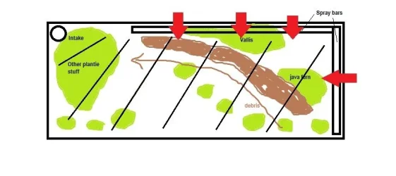 tank flow.webp