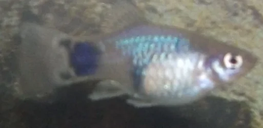DSCF3168.webp