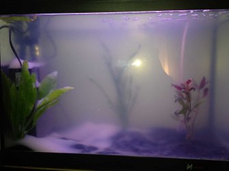 fishtank_0003.jpg