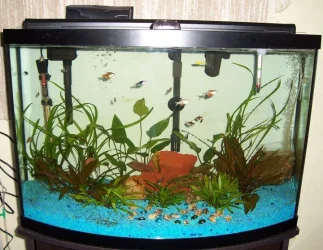 36-gallon.webp