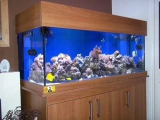 photo.webp