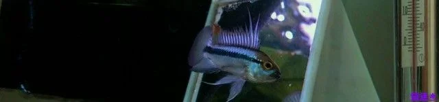 20100915035cr2.webp