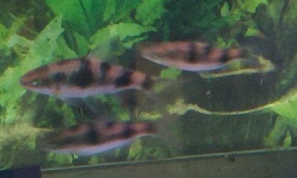 2011-11-28_16-29-28_475.jpg