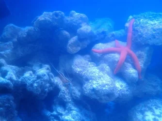 IMAG0053.webp