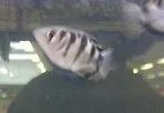 27052011061.webp