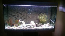 tankNF.jpg tankNF.jpg