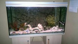 tankWF.jpg tankWF.jpg