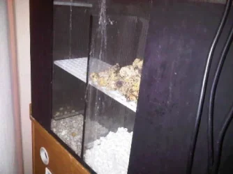 IMG00334-20111209-0035.webp