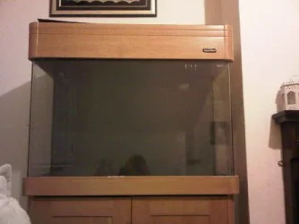IMG00330-20111209-0034.webp