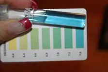 ph level.webp