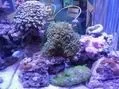 ¸´¼þ SAM_0008.webp