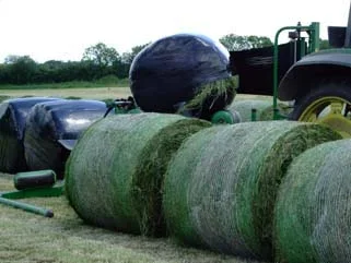 Farm1.webp