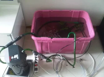 Tank 2.webp