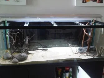 Tank 6.1.webp