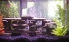 small.webp