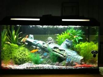 tank.webp
