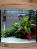 mytank1.jpg mytank1.jpg