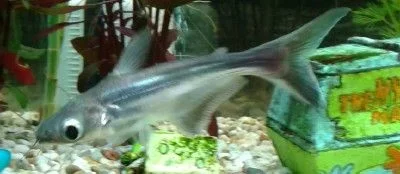 2011-12-31 13.51.28 Copy.webp