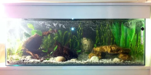 UnFish-crop.webp