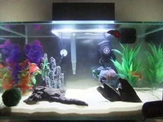 My Tank.webp