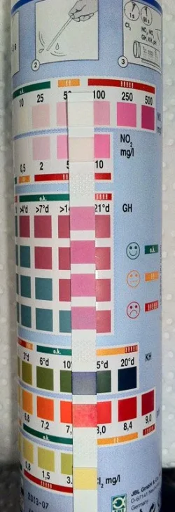 TestStrip1.webp
