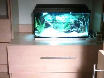 2012-01-13-192527.webp