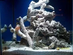25426_409674612501_591647501_5043403_1261662_n.webp