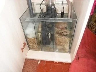 Sump.webp