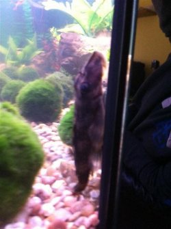 IMG_0142 (Small).JPG