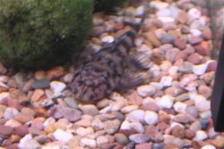 IMG_3007 (Small).JPG