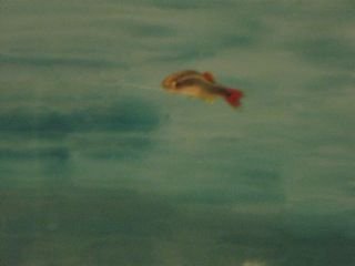 IMG_1148.jpg