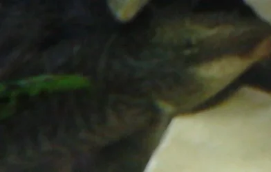 DSC0000041.webp