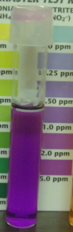Nitrite.webp Nitrite.webp