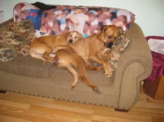 Roxy and Emma.webp Roxy and Emma.webp