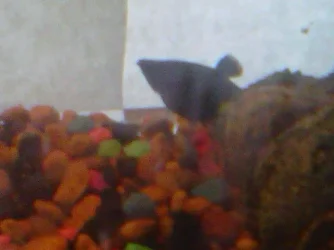Olivia-20120214-00150.webp
