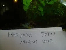 verification.webp