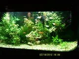 th_plantedtank001.webp