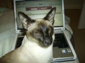 HPIM0606 - Copy.webp