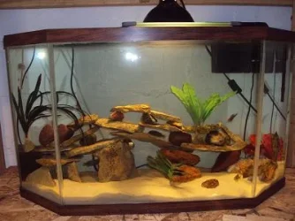 40 gallon Half Hex(2).webp