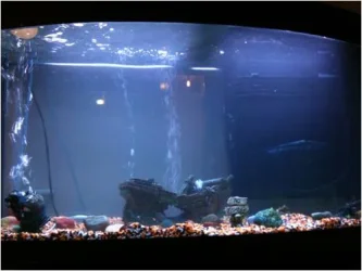 Picture1.webp