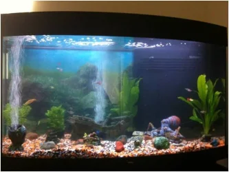 Picture3.webp
